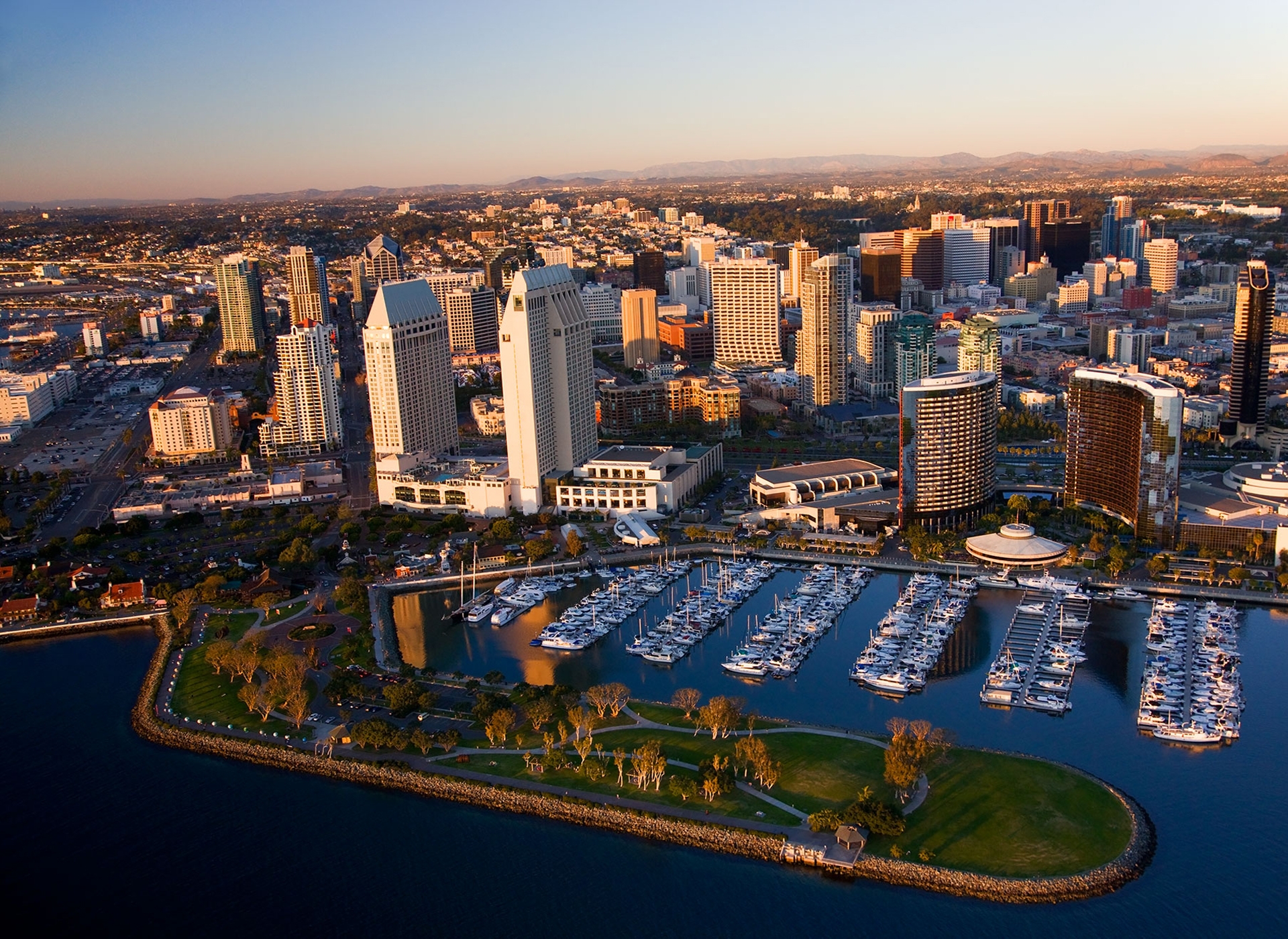 San Diego State University (СанДиего) групповая программа изучения